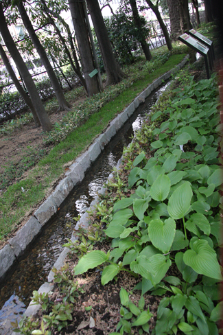 玉川上水